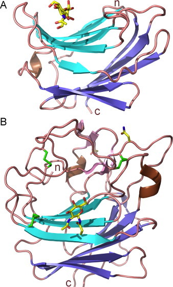 Fig. 8