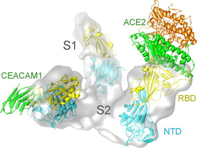 Fig. 10