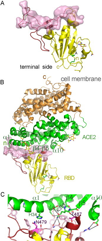 Fig. 4