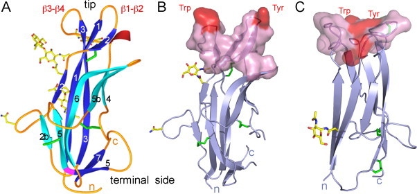 Fig. 2