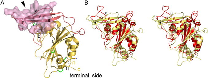 Fig. 6