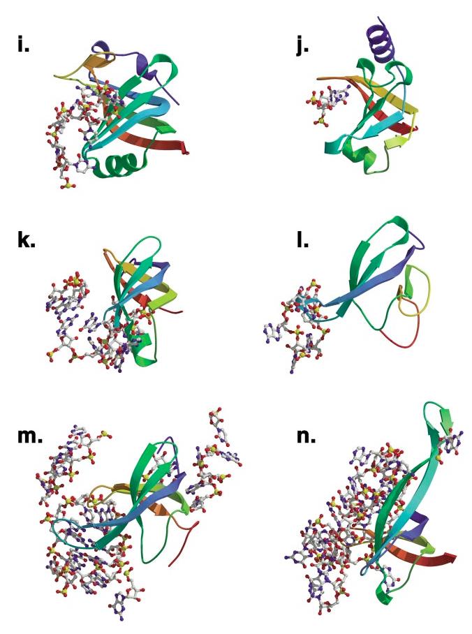 Figure 3(opposite, above)