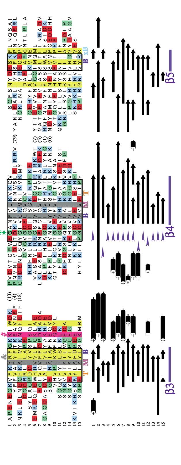 Figure 5(Continued)