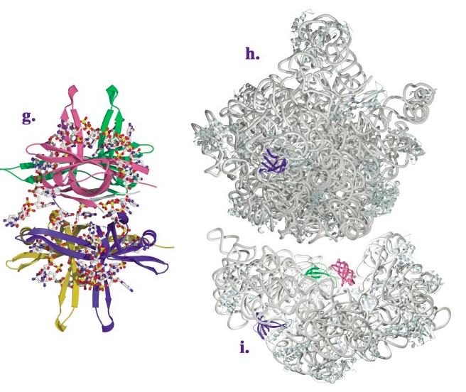 Figure 2(continued)