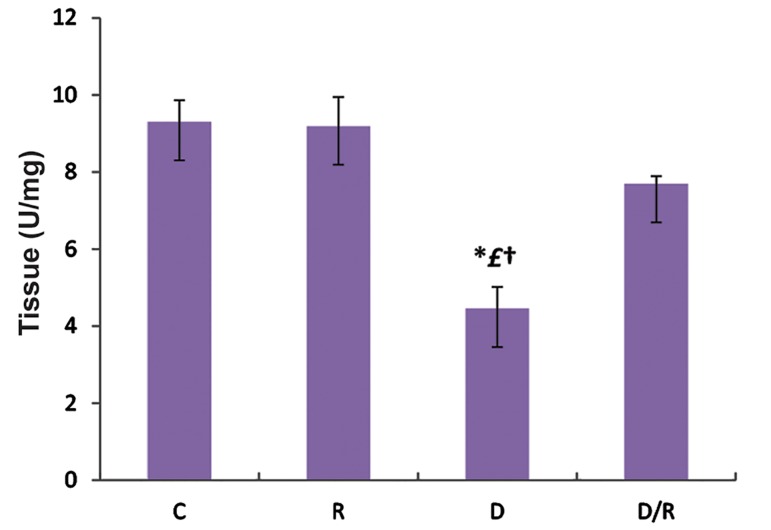 Fig.6