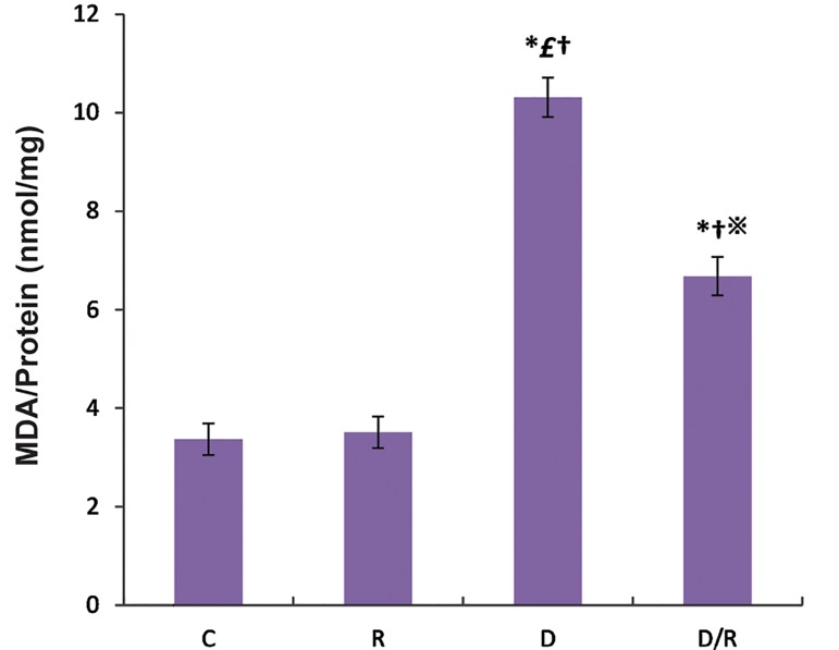 Fig.4