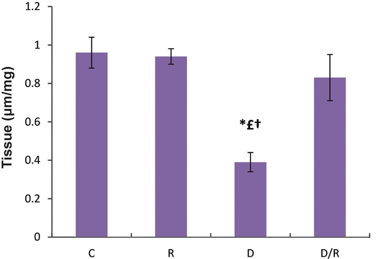 Fig.7