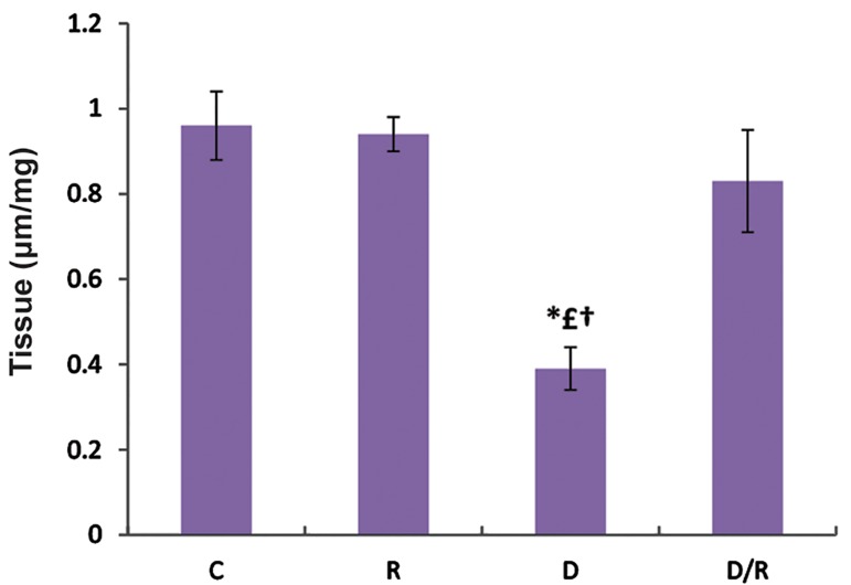 Fig.8