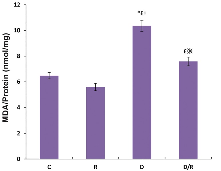 Fig.3