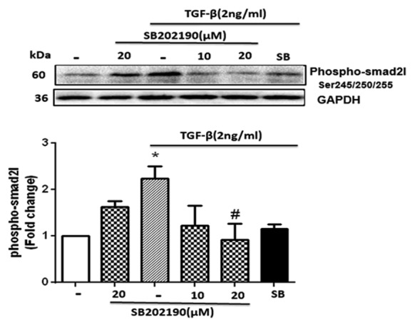 Figure2