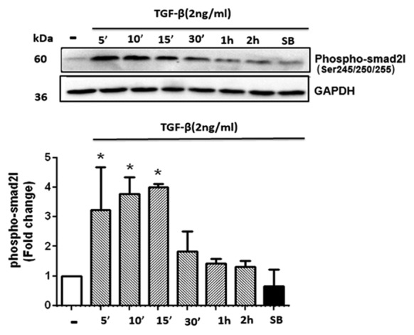 Figure1