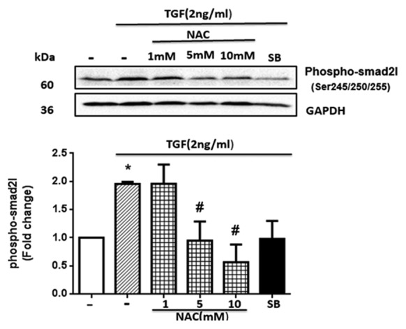 Figure4