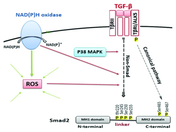 Figure5