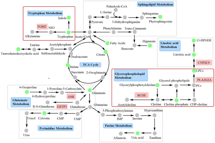 Figure 6