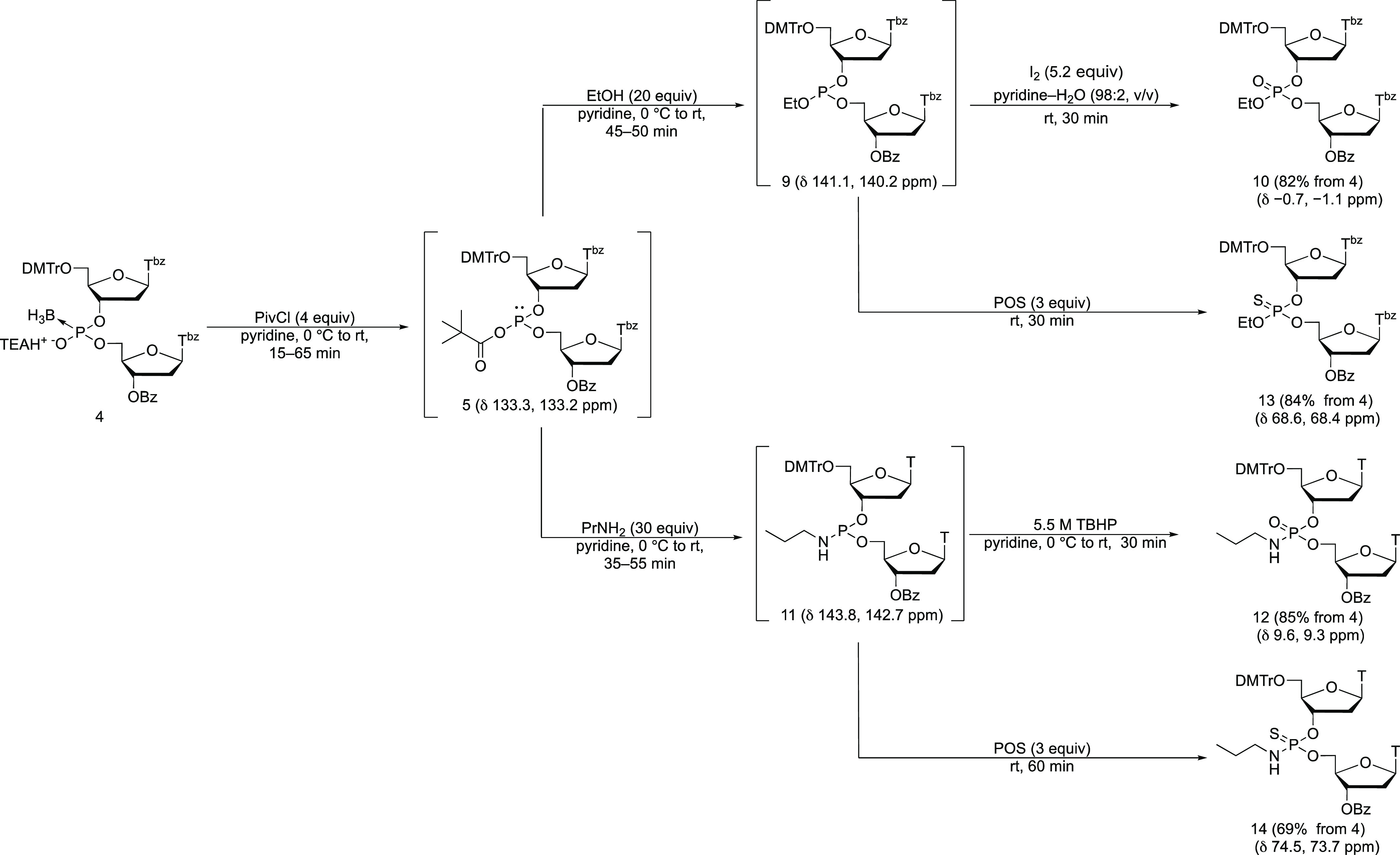Scheme 6