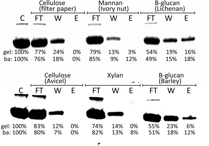 FIG 2