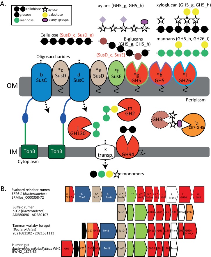 FIG 6