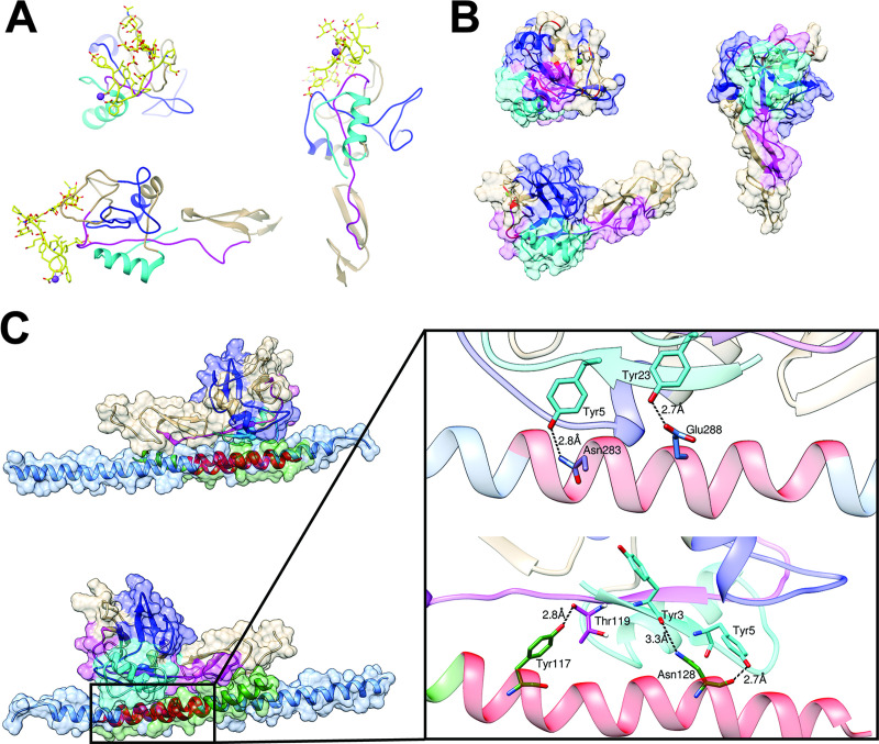 Fig 3