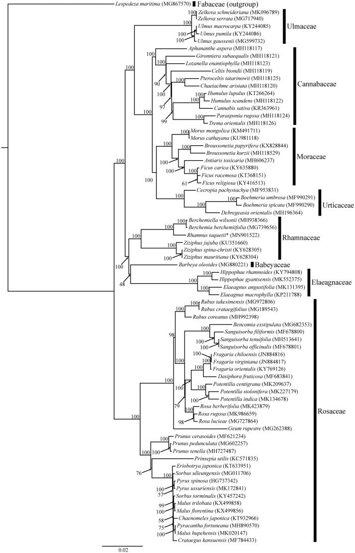 Figure 1.