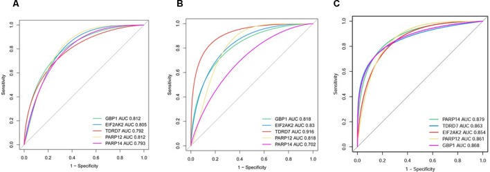 Figure 7