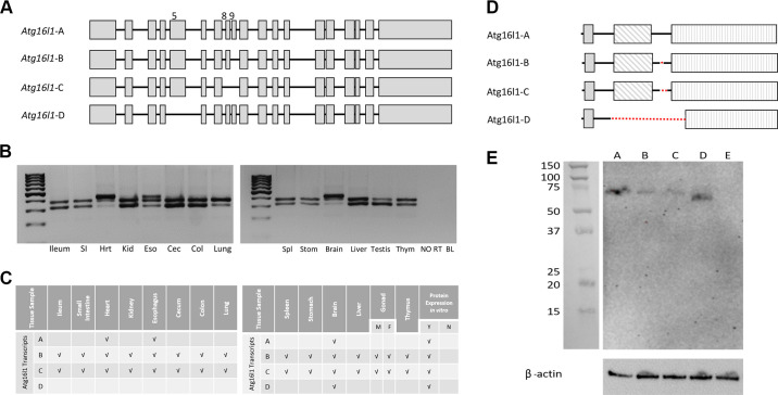 Figure 3.