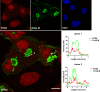 Figure 3