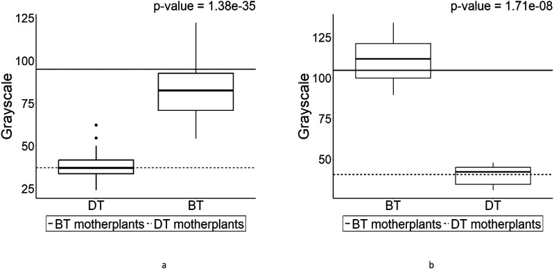 Figure 7