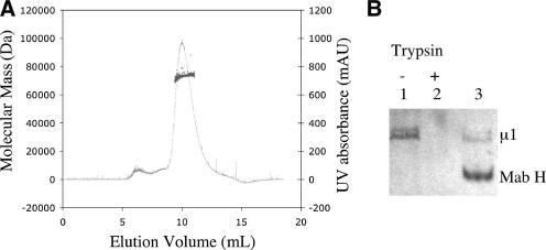 FIG. 5.