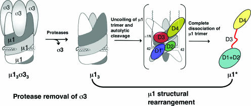 FIG. 7.