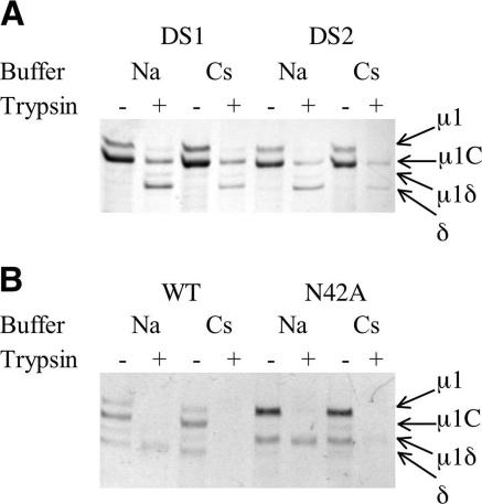 FIG. 4.