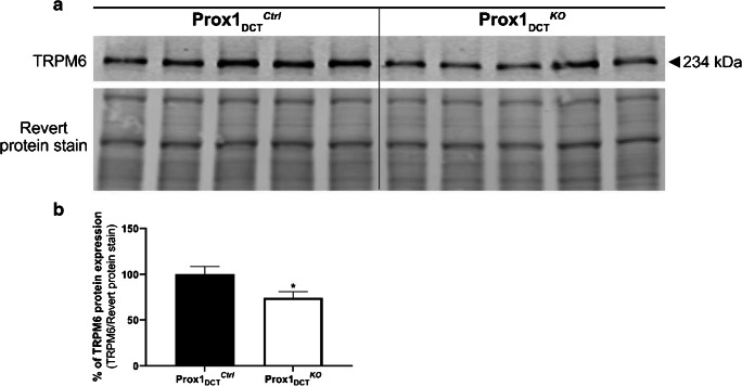 Fig. 7 