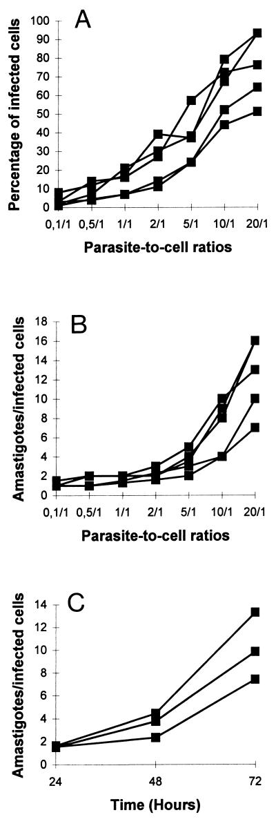 FIG. 1