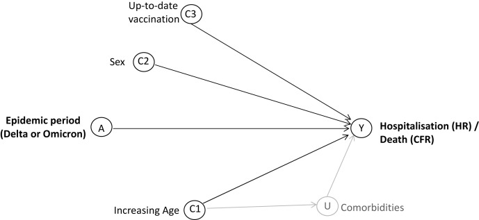 Supplementary Fig. 3