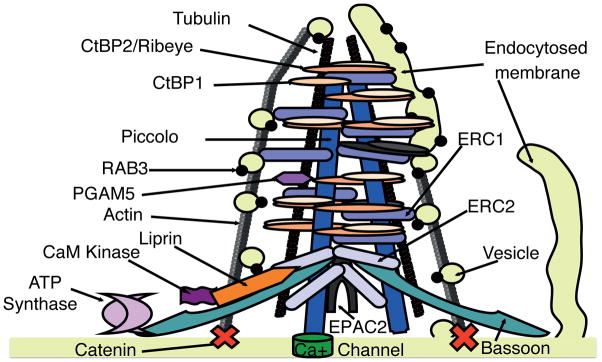 Figure 6