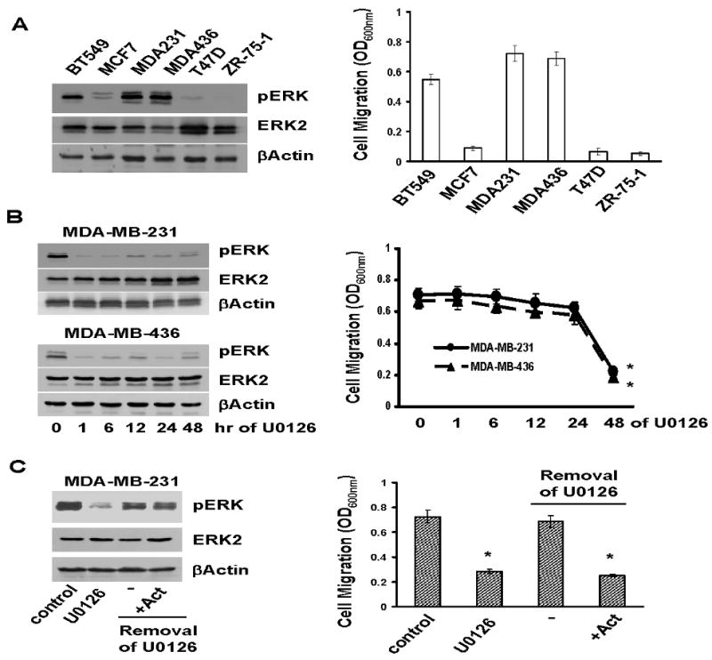 Fig.1