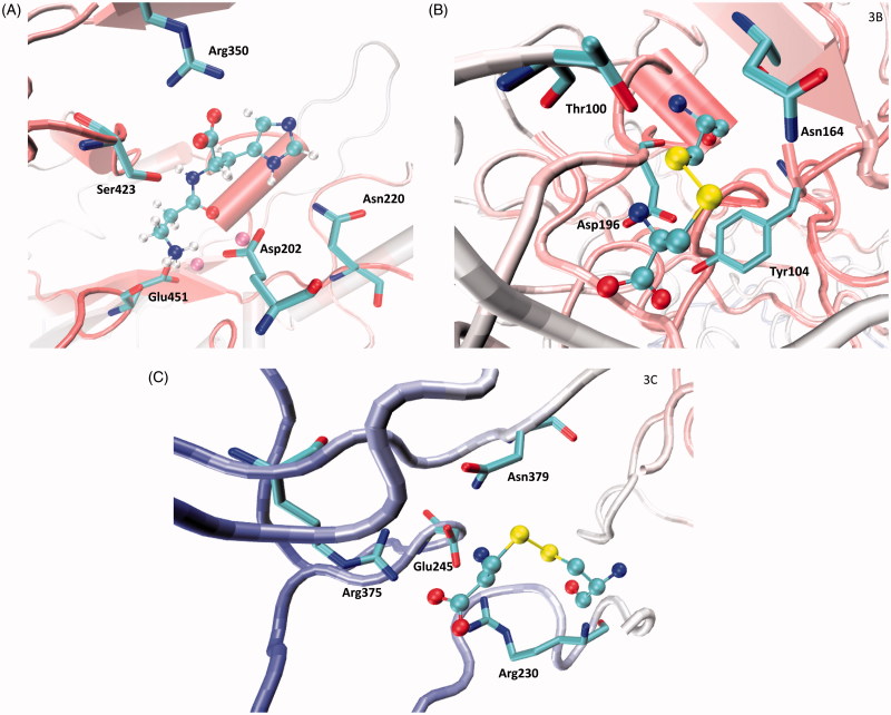 Figure 3.