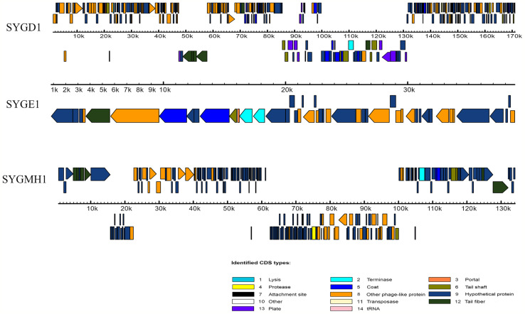 Figure 2