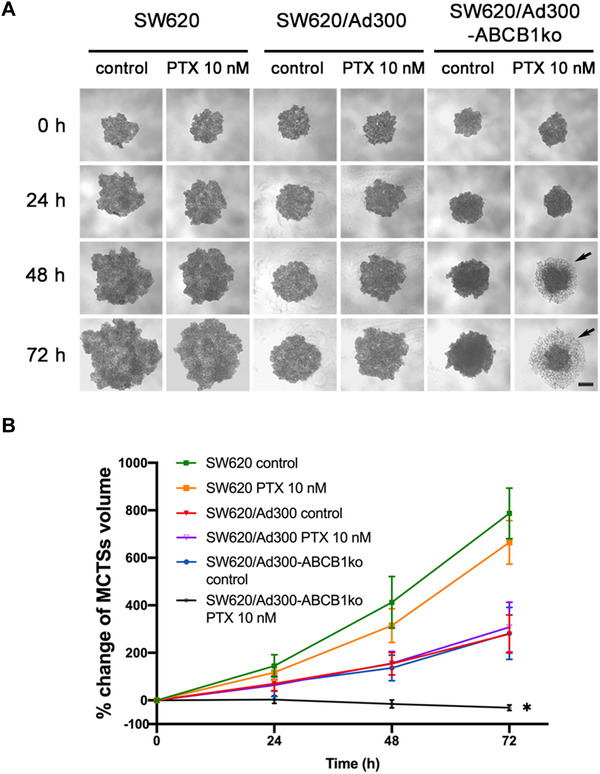 FIGURE 6