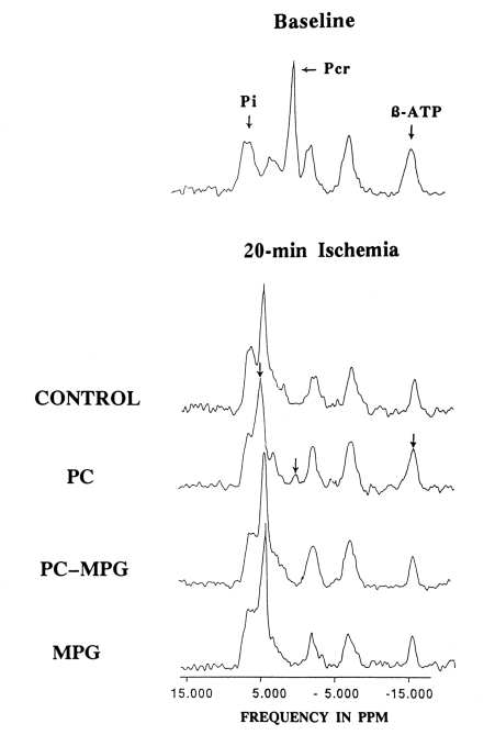 Figure 6)