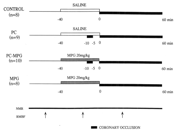 Figure 1)