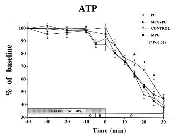 Figure 3)