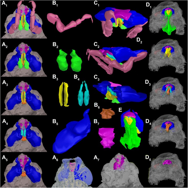 Fig. 4