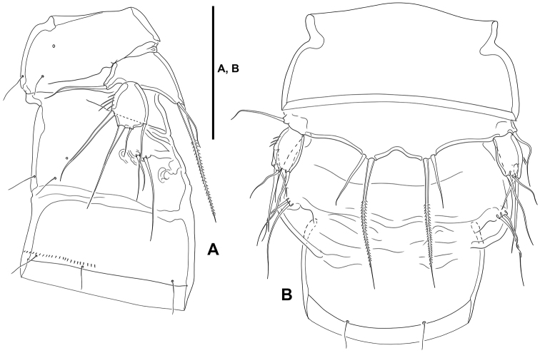 Figure 11.