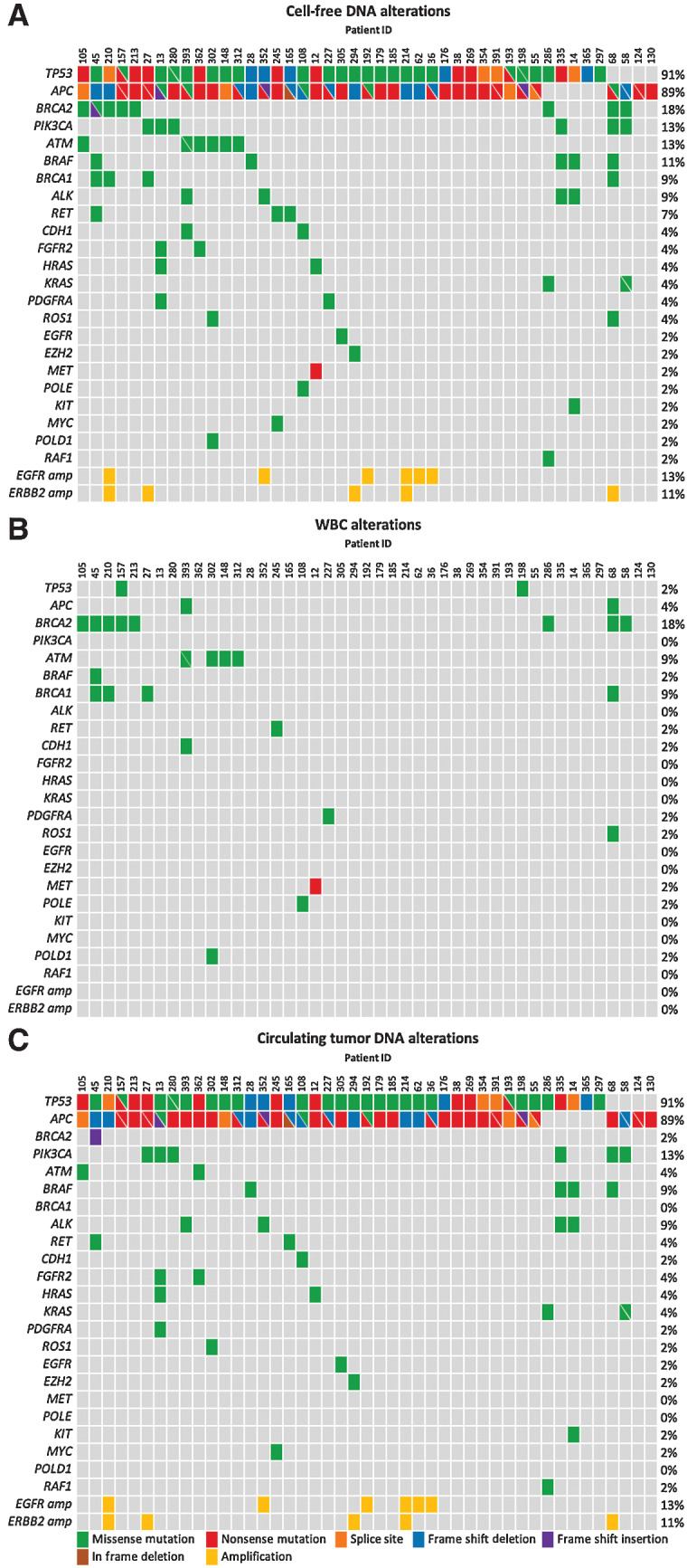 Figure 2. Identification of WBC and ctDNA variants in cfDNA. A, cfDNA alterations identified using a targeted 33-gene panel in 45 baseline plasma samples. B, Germline and hematopoietic alterations were identified on the basis of targeted sequencing of patient-matched WBC-derived genomic DNA. C, ctDNA alterations identified after correction for germline and hematopoietic variants detected in WBC-derived genomic DNA. cfDNA, cell-free DNA; WBC, white blood cell.