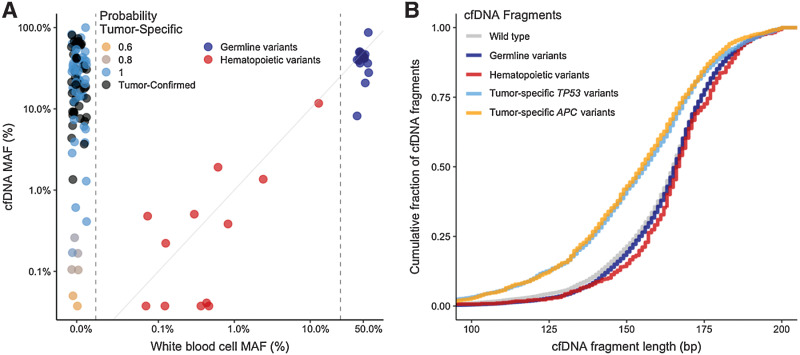 Figure 3. cfDNA and WBC variant frequencies and fragment length distributions. A, WBC-derived MAF (x-axis) and corresponding plasma cfDNA MAF levels (y-axis; Pearson correlation coefficient = 0.85, P < 0.001). The different colors represent the probability of a variant being tumor derived when not observed in WBC genomic DNA. Variants with a WBC MAF of approximately 50% (right vertical dotted line) and high cfDNA MAFs likely represent germline variants. The variants with both low WBC and cfDNA MAFs likely represent hematopoietic variants. B, Cumulative distribution of cfDNA fragment length (bp) for tumor-specific TP53 (light blue) and APC (orange) variants revealed shorter fragment lengths than wildtype (gray), germline (dark blue) and hematopoietic variants (red; Kolmogorov–Smirnov test, P < 0.001). cfDNA, cell-free DNA; MAF, mutant allele frequency; WBC, white blood cell.