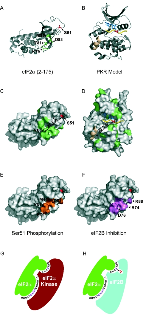 FIG. 8.