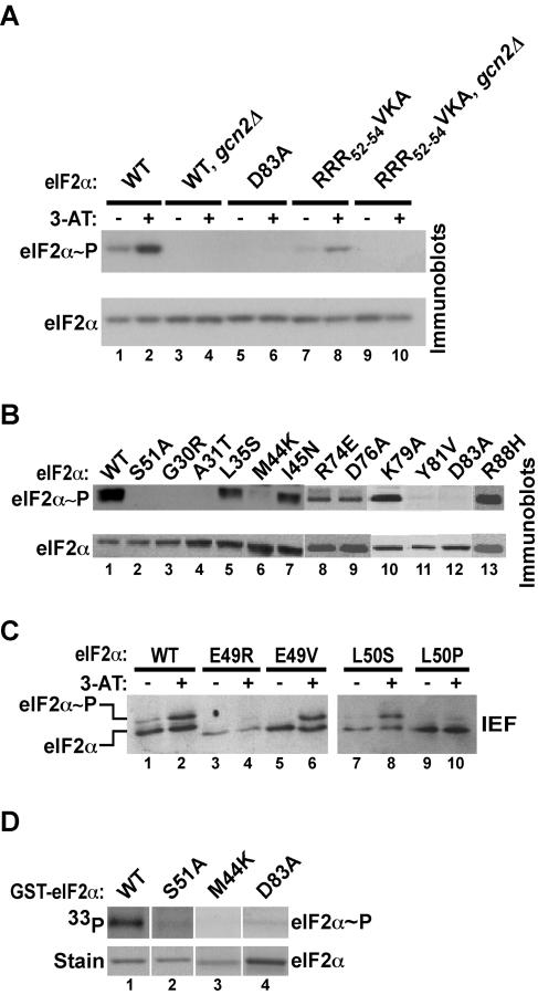 FIG. 5.