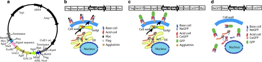 FIGURE 1.