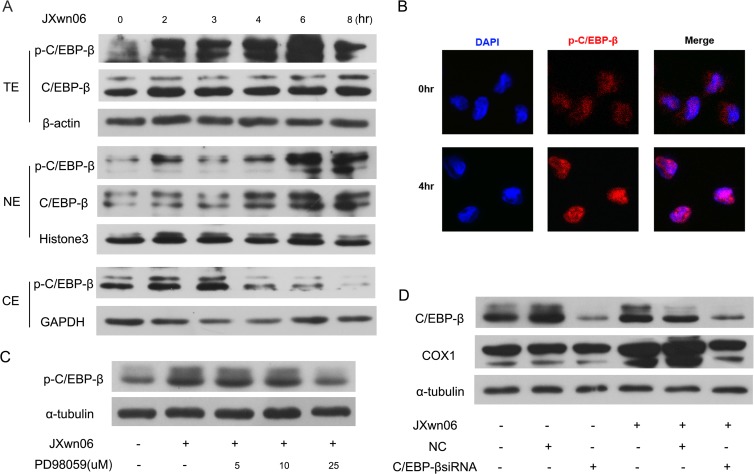 FIG 6