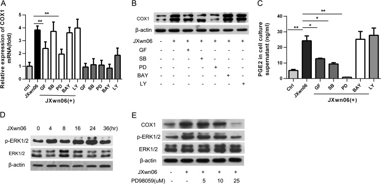 FIG 4